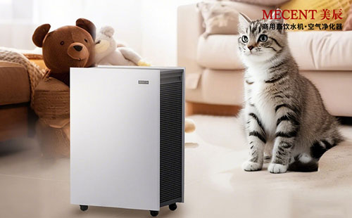 寵物家庭除味攻略：活性炭濾網(wǎng)真的能搞定寵物異味嗎？